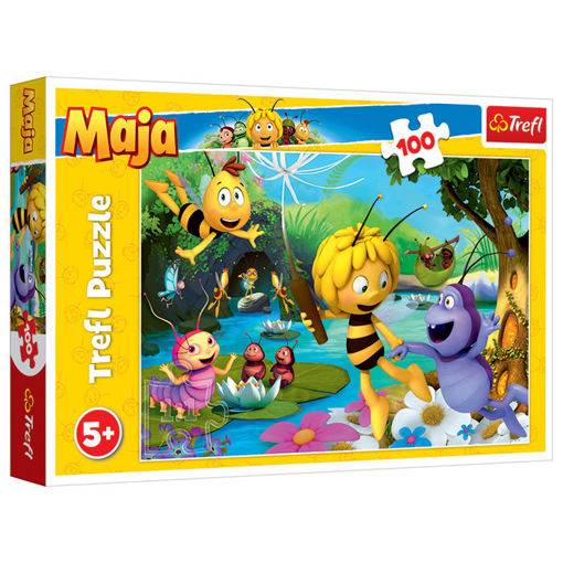 Slika PUZZLE 100 MAYA 16361