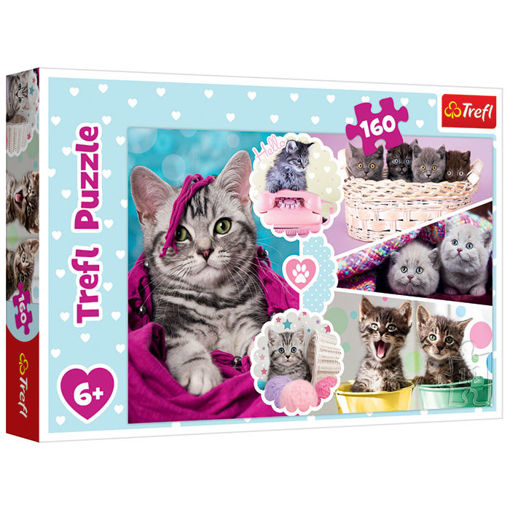 Slika PUZZLE 160 LOVELY KITTENS 15371